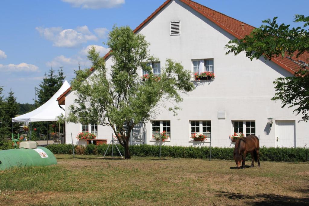 Hotel-Pension Am Muehlberg Люббенау Номер фото
